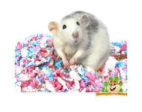 Rat Nesting Material, Cushions & Baskets