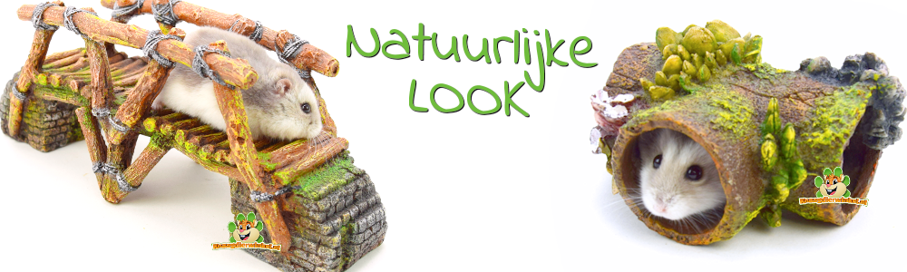 hamsterscaping natuurlijke look voor hamsters