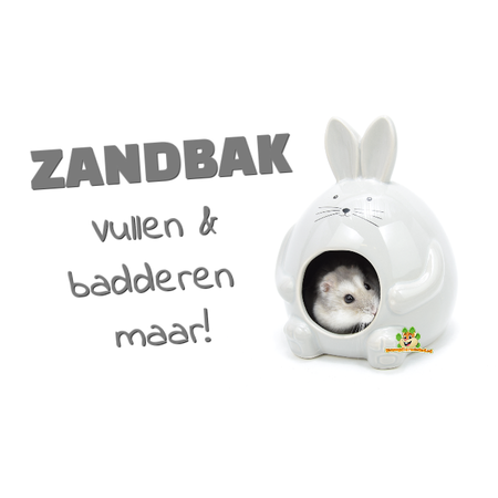 Hamsterhaus & Badehaus Sandkasten Hopper Grau 11 cm