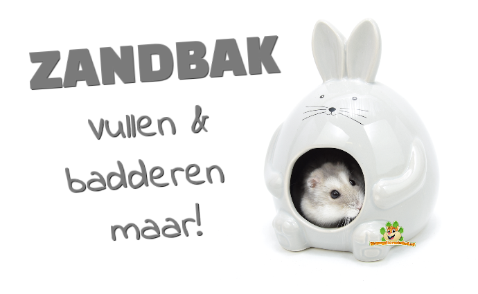 Kampioenschap cursief jeugd Hamsterhuis & Badhuis Hopper Grijs 11 cm | DRD Knaagdierwinkel®