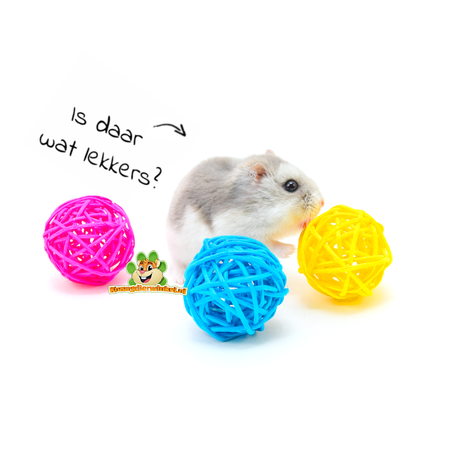Bunte Weidenkugeln 3,5 cm für Nagetiere und Kaninchen