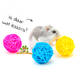Bunte Weidenkugeln 3,5 cm für Nagetiere und Kaninchen