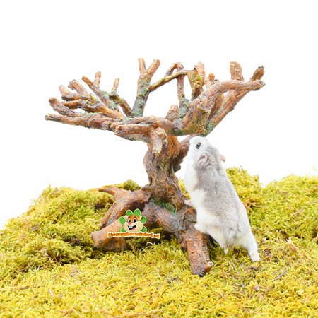Hamsterscaping Nager-Bonsai 22 cm aus Kunstharz