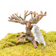 Bonsaï rongeur pour hamster, 22 cm, en résine