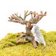 Hamsterscaping Knaagdier Bonsai 22 cm