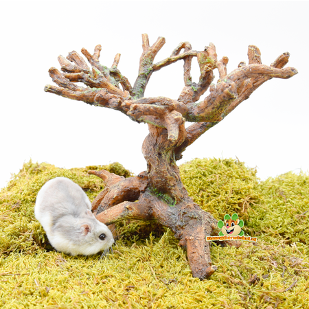 Hamsterscaping Knaagdier Bonsai 22 cm van Kunsthars