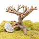 Bonsai dla gryzoni dla chomików 22 cm