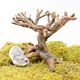 Chomik Bonsai dla gryzoni 22 cm z żywicy
