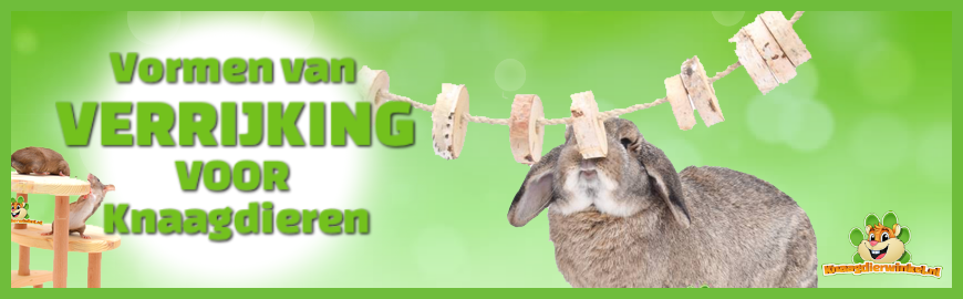 Verrijking voor Knaagdieren