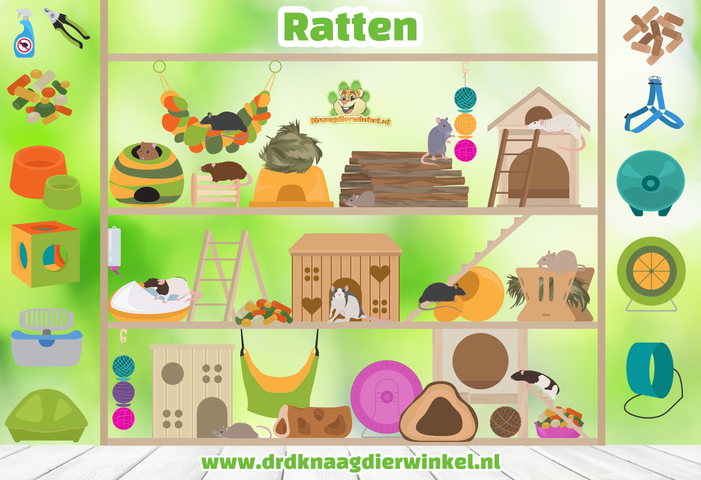 ratten informatie