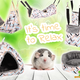 Rodent Hammock Cube Clara for Rodents!