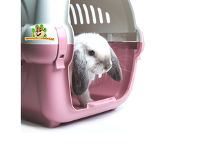 Kaninchen-Transportbox