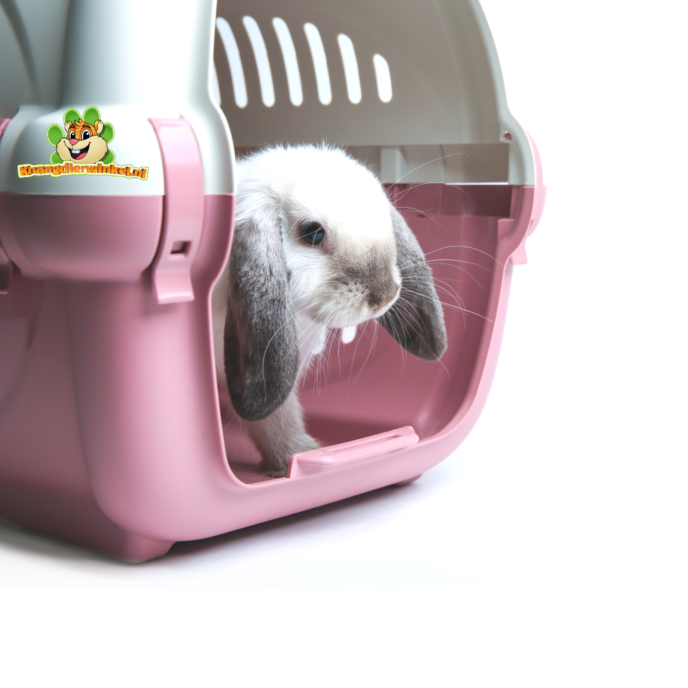 rabbit transport box and transport box