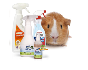 Produkty do czyszczenia świnek morskich