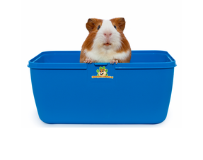 Boîte de transport pour cobayes