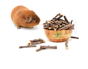 Guinea Pig Chewing Material