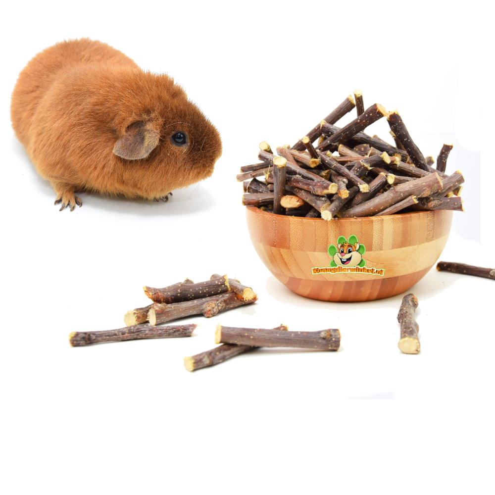 guinea pig gnawing material and guinea pig wood