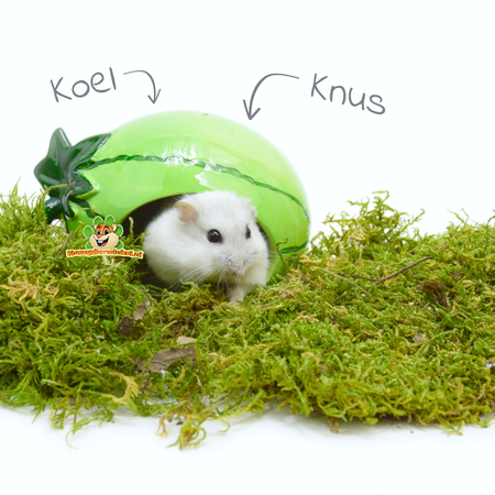 Happy Pet Keramiek Huisje Meloen voor kleine Knaagdieren!