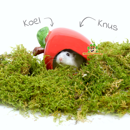 Trixie Ceramic House Apple 10 cm