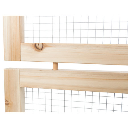 Trixie Bieg w pomieszczeniu