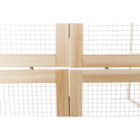 Trixie Indoor-Rennen