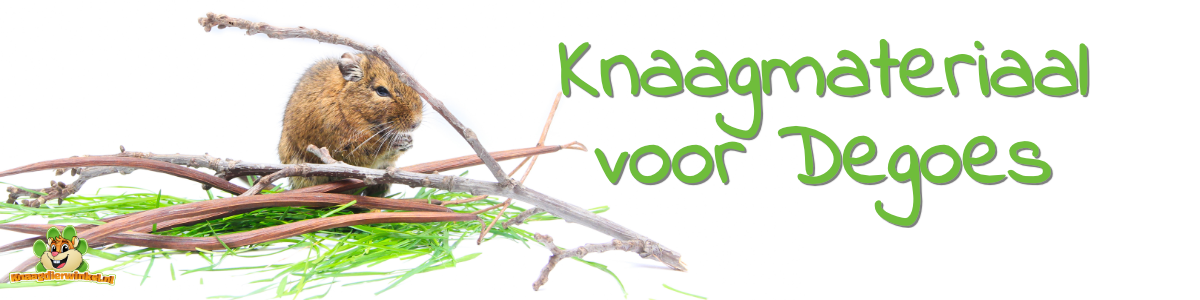 knaagmateriaal voor degoes en knaaghout voor de degoe