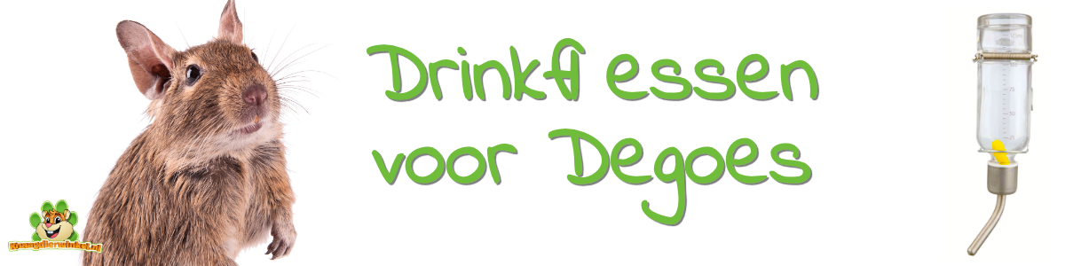 degoe drinkfles en knaagvaste drinkflessen voor degoes