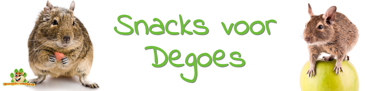 degoe snacks 