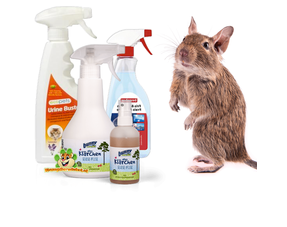 Degu Care & Health