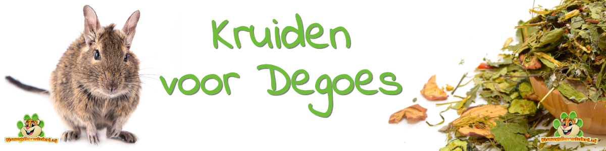 degoe kruiden