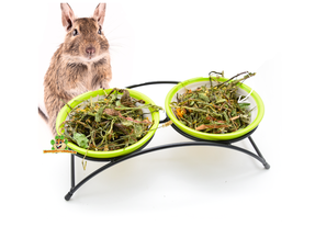 Degu Food Bowls