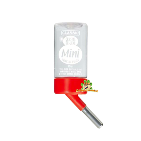 botella para beber