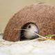 Trixie Demi-noix de coco (3 pièces) pour souris et hamsters nains