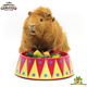 HayPigs HayPigs Circus Feeder for rodents and rabbits