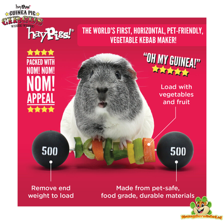 HayPigs Cyrkowy Kantar Wegetariański Świnki Morskiej 22 cm dla Gryzoni i Królików!
