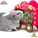 HayPigs Cyrkowy wóz dla gryzoni i królików!