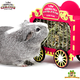 HayPigs HayPigs Circus Hay Wagon 23 cm for guinea pigs and rabbits
