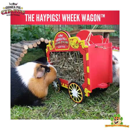 HayPigs Wózek na siano HayPigs Circus 23 cm dla świnek morskich i królików
