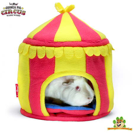 HayPigs HayPigs Circus Tent 25 cm voor cavia’s, ratten & knaagdieren