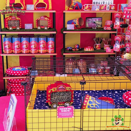 HayPigs HayPigs Circus Tent 25 cm voor cavia’s, ratten & knaagdieren