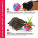 HayPigs Circus Snack Ball for Rodents & Rabbits!
