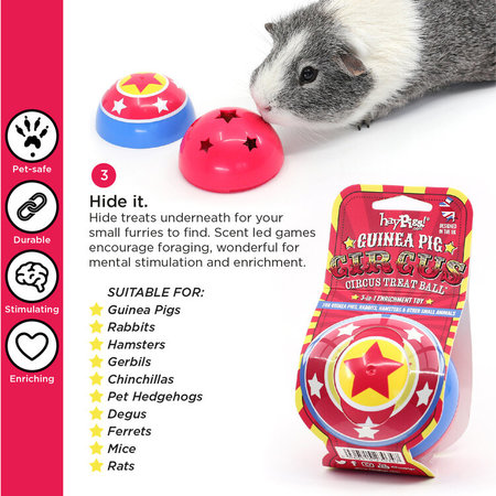 HayPigs Zirkus-Snackball für Nagetiere und Kaninchen!