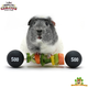 HayPigs Circus Cavia Veggie Halter 22 cm voor Knaagdieren & Konijnen!