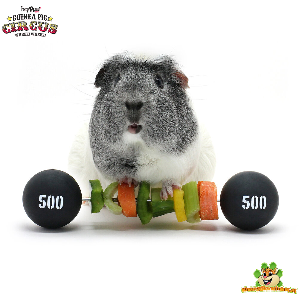 HayPigs Circus Guinea Pig Veggie Halter 22 cm