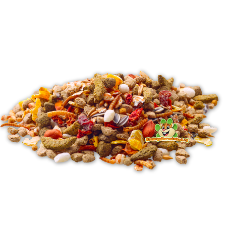 Versele-Laga Alimento natural para ratas domesticadas y enanas