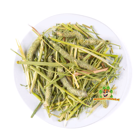 Witte Molen Czyste siano tymotkowe 500 gramów