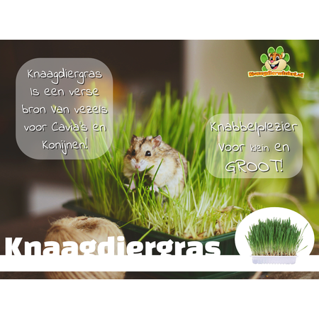 Trixie Trawa dla kota 100 gram