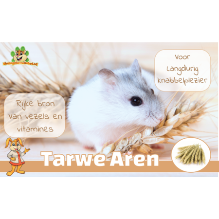 JR Farm Nibble Ears Mix