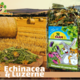 JR Farm Echinacea i lucerna (lucerna) Bez zbóż dla gryzoni i królików