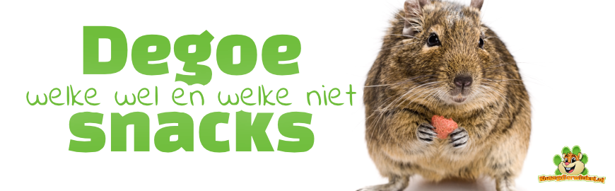 Richtlijnen voor verantwoord snacken voor Degoes